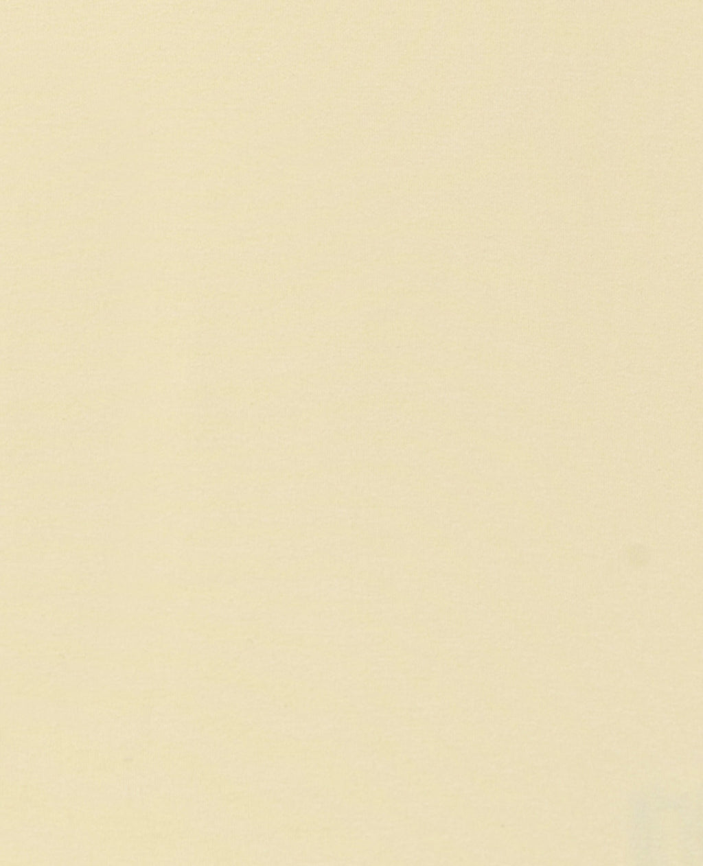 Camiseta Zoe Básica